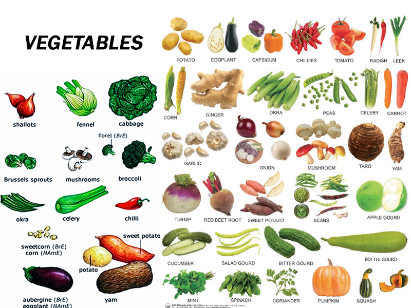Học tiếng Anh theo chủ đề các loại rau