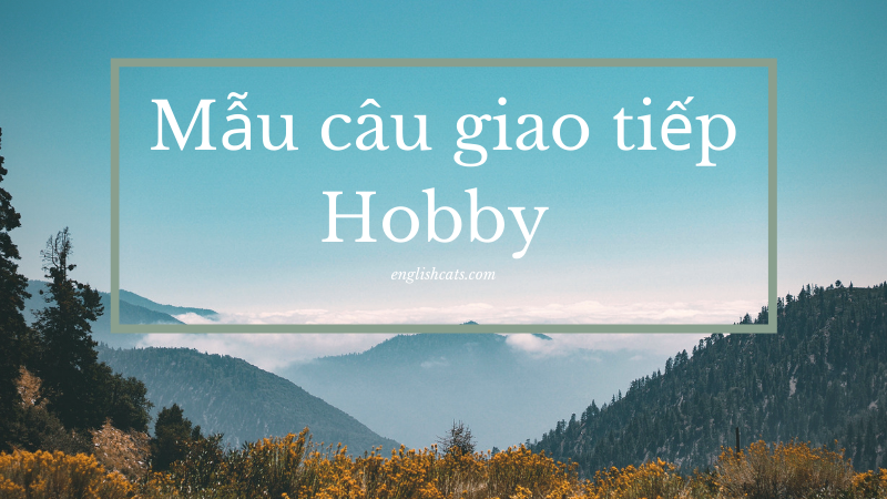 What Your Hobby Nghĩa Là Gì