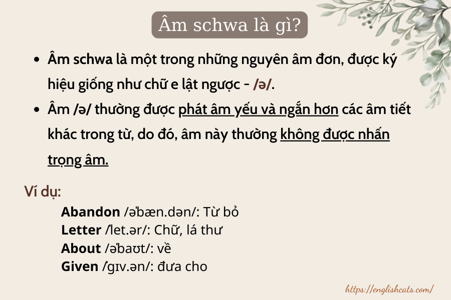 Tìm hiểu về âm schwa trong tiếng Anh